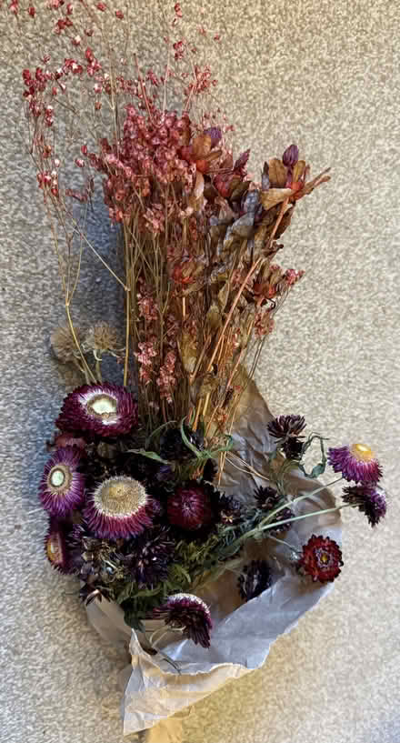 Photo of free Dried flowers bunch (Bidston Hill CH43) #1
