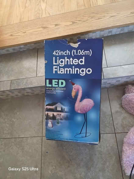 Photo of free Outdoor lighted flamingo (Allied Gardens) #1
