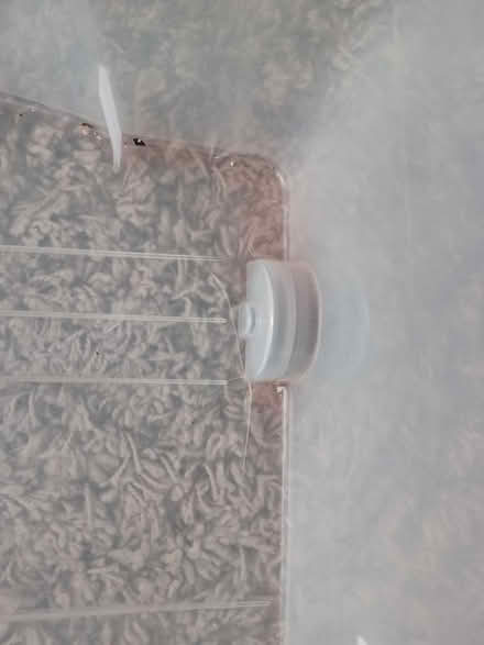 Photo of free Wheeled storage box (Woodley RG5) #3