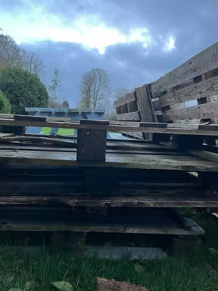 Photo of free Pallets (Penn) #2