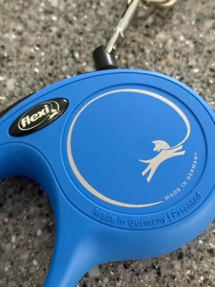 Photo of free Flexi Cat Lead (BH22 8) #1