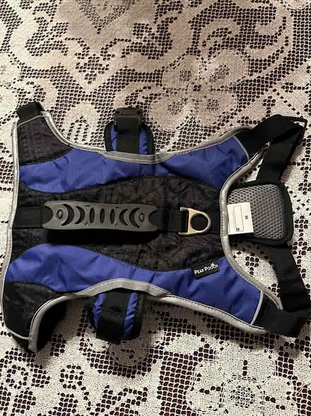 Photo of free Dog Harnesses et (DownersGrove,Fairview & 59th) #3