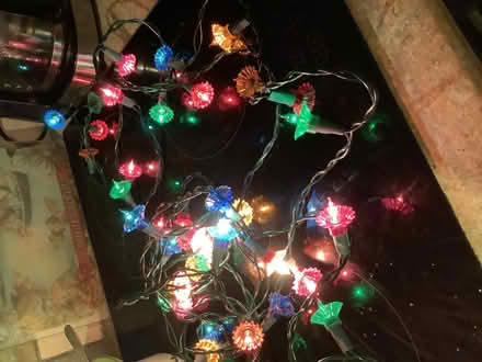 Photo of free String lights (Caton LA2) #3