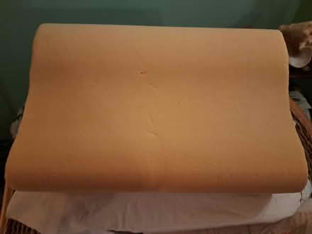 Photo of free Curved Memory Foam Pillow w Cover (Brightwood-Takoma) #3