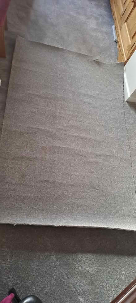 Photo of free Light Grey carpet offcuts (Stanstead Abbotts SG12) #1