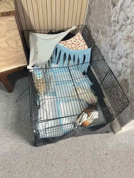 Photo of free guinea pig cage disassembled (N17 Tottenham Hale) #1