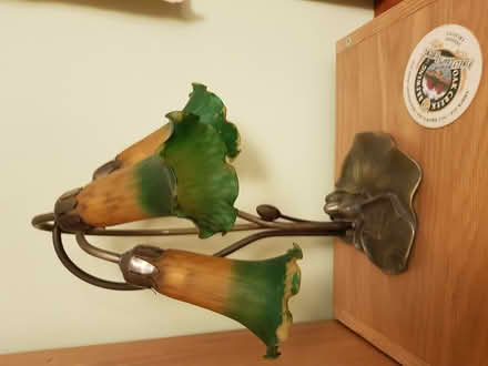 Photo of free Table lamp Lily sculpture with 3 lites (North Hinksey OX2) #3