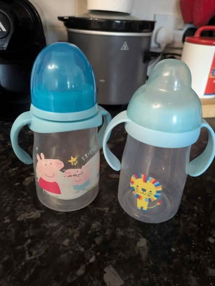 Photo of free Two baby bottles (Wolverhampton WV10) #1