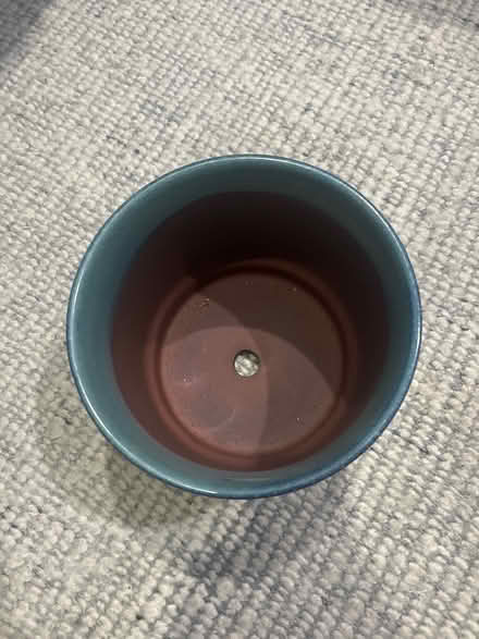 Photo of free Large planter (chinatown) #2