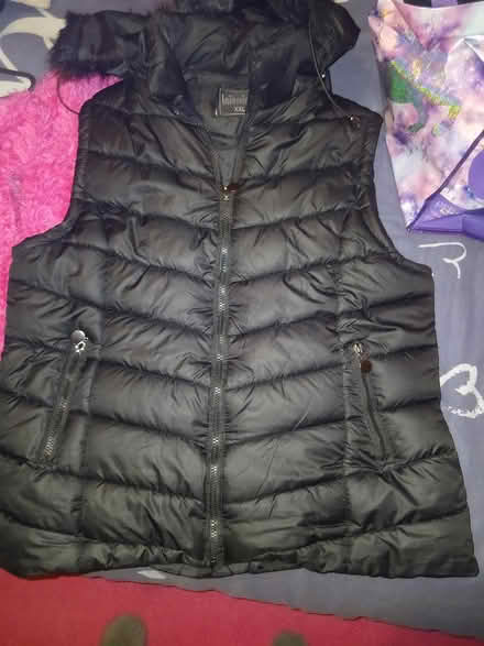 Photo of free variety of ladies clothes (iv36) #3