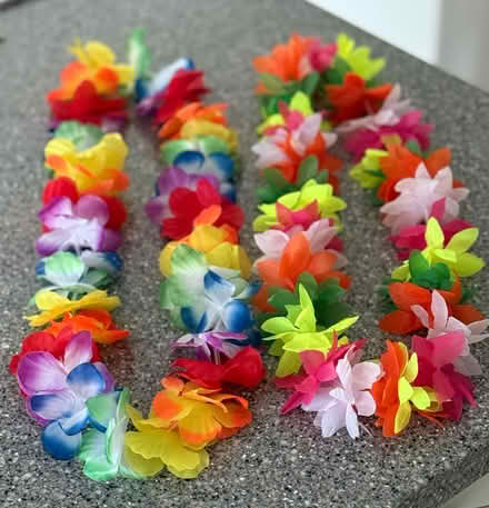Photo of free Synthetic Fabric Floral Garlands x2 (BH22 8) #1