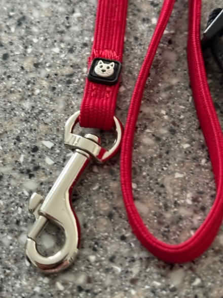 Photo of free Cat Harness and Lead (BH22 8) #4