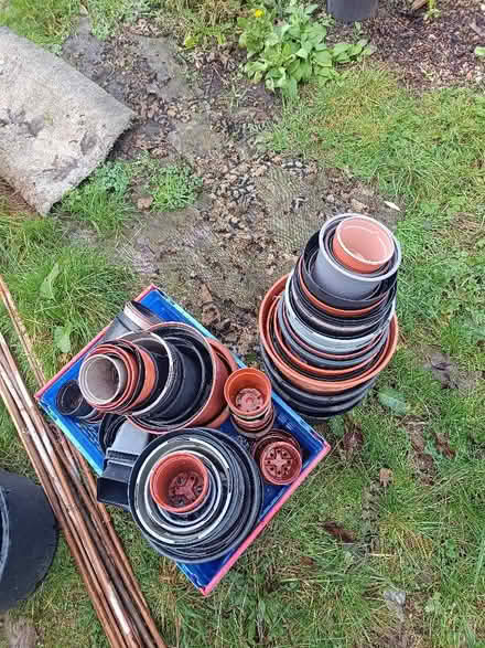 Photo of free Lots of plastic plant pots (Wisewood S6) #2