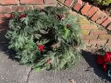 Photo of free Holiday wreath and garlands (Chevy Chase DC) #1