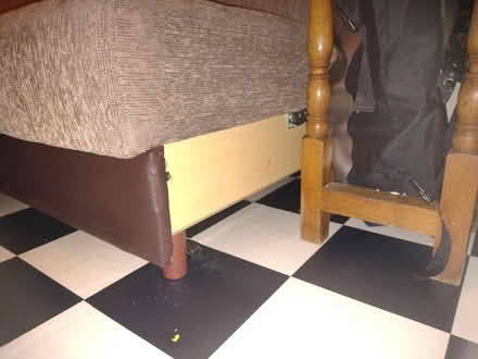 Photo of free Sofa bed with storage (SW81TG) #3