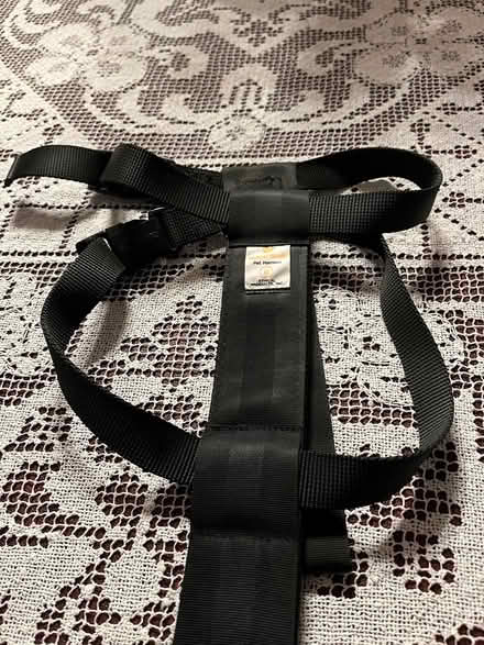 Photo of free Dog Harnesses et (DownersGrove,Fairview & 59th) #4