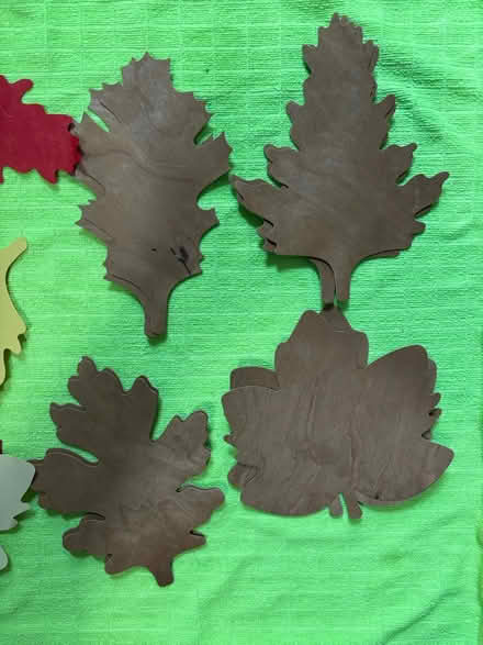 Photo of free Paper leaves (Cambridgeport) #3