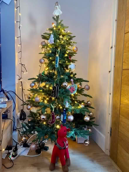 Photo of free Christmas tree (TW18) #1