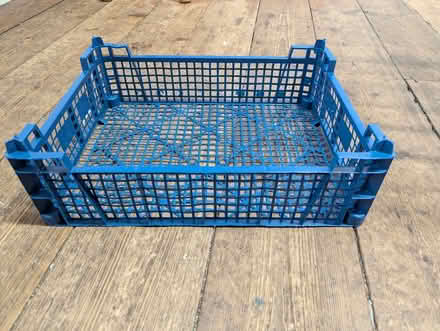 Photo of free Blue plastic "mushroom" tray. (North Road) #1