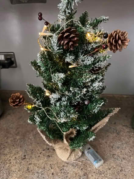 Photo of free Small 2ft Christmas tree (North Wingfield S42) #3