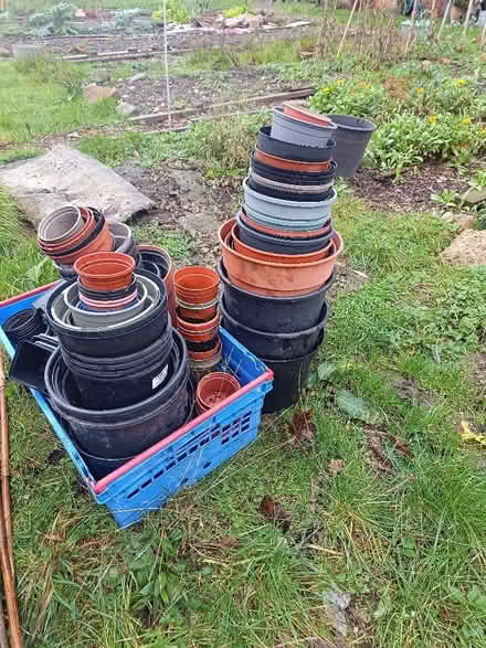 Photo of free Lots of plastic plant pots (Wisewood S6) #1