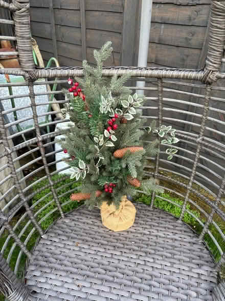 Photo of free Plastic tree on wood block (Rainham ME8 8TB) #1