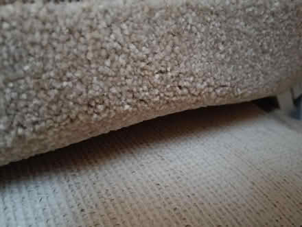 Photo of free Rug (AB10) #1