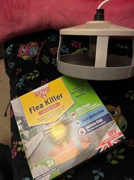 Photo of free Flea killer (Broadwater SG2) #1