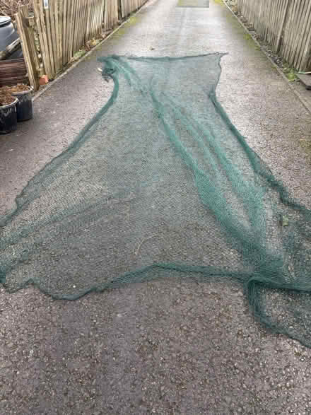 Photo of free Garden netting (Lytham St Anne’s, FY8) #1