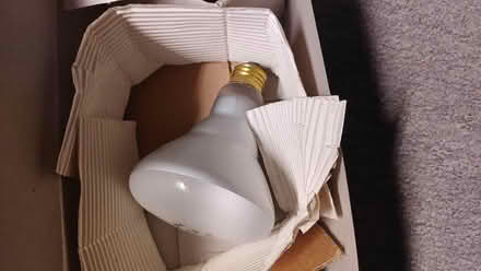 Photo of free indoor flood/pot lamp (kemp park) #2