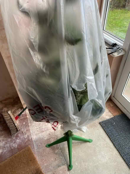 Photo of free Christmas tree (Earley RG6) #1
