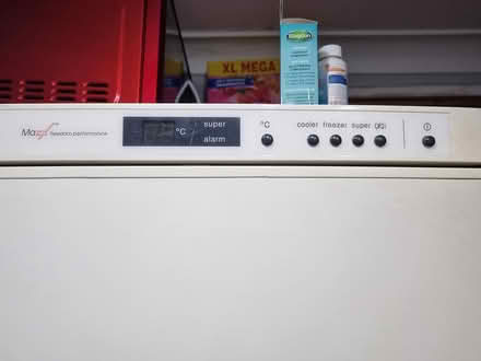 Photo of free Bosch Fridge Freezer (Ferndown bh22) #3