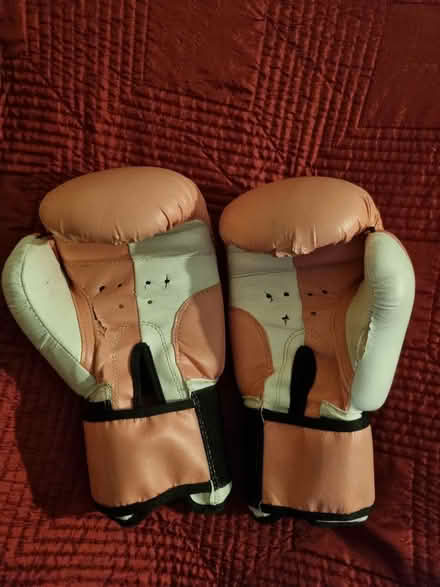 Photo of free Boxing gloves pink (SE20) #1