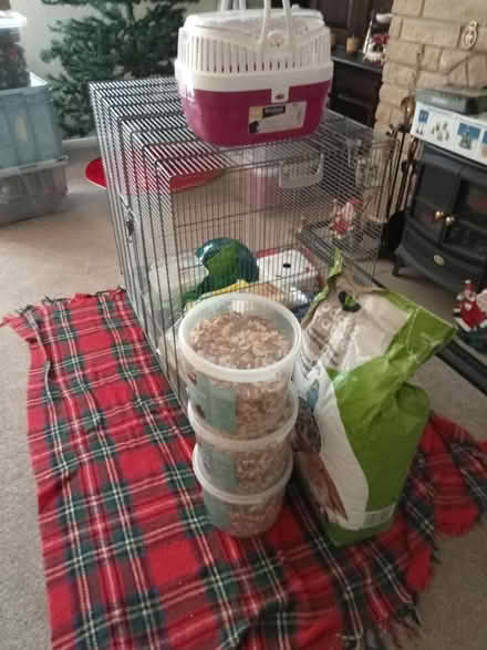 Photo of free V. Large Animal Cage (Lower Broadheath, WR2) #3