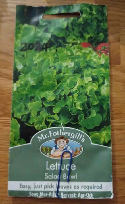 Photo of free Lettuce seeds (Chichester PO19) #1