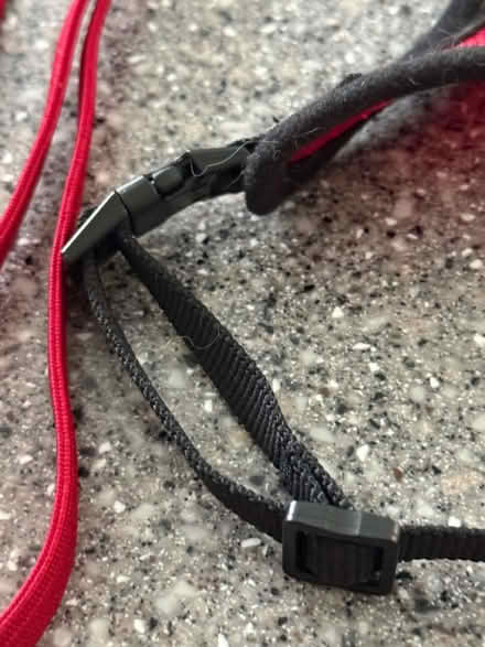 Photo of free Cat Harness and Lead (BH22 8) #3