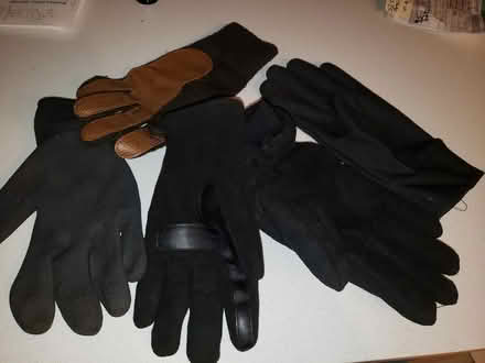 Photo of free 5 gloves (St.Louis Park) #1