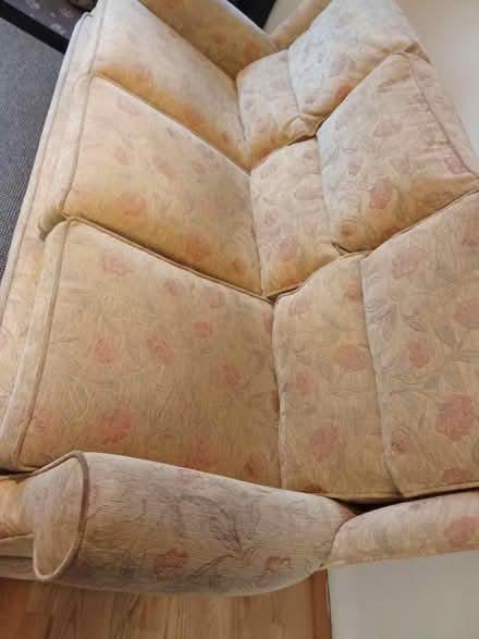 Photo of free Sofa (Willesborough) #1