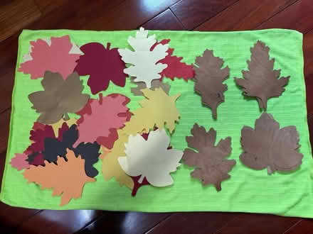 Photo of free Paper leaves (Cambridgeport) #1