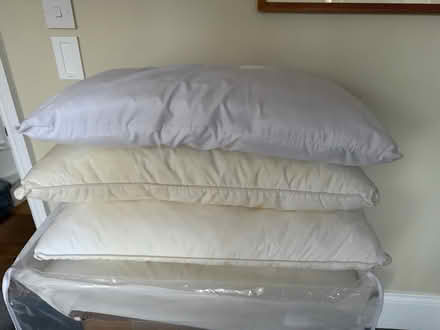 Photo of free 4 pillows (Blackhorse Road) #1