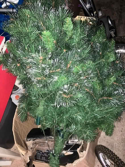 Photo of free Christmas Tree (Morningside EH10) #1