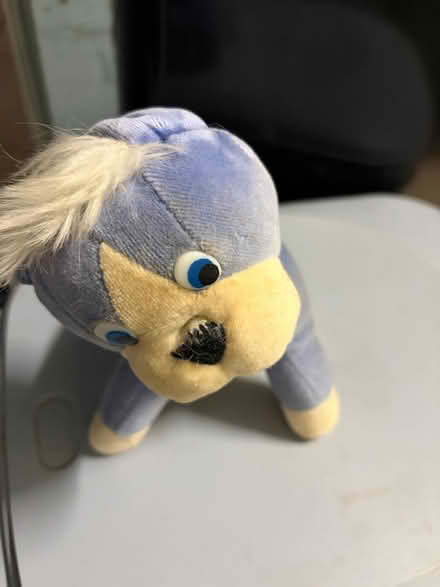 Photo of free Toy dog (Westbury Wilts BA13) #2