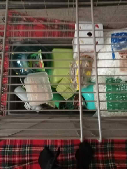 Photo of free V. Large Animal Cage (Lower Broadheath, WR2) #2