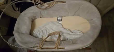 Photo of free Moses basket (Midway) #2