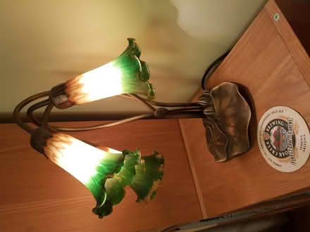 Photo of free Table lamp Lily sculpture with 3 lites (North Hinksey OX2) #1