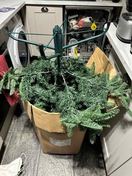Photo of free Christmas tree (TW18) #2