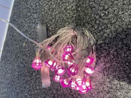 Photo of free Purple Ikea Light chain (Barnsbury N1) #2