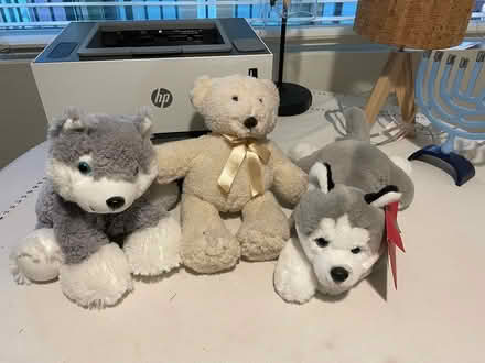 Photo of free Stuffed Animals (Central Phoenix) #1