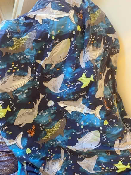 Photo of free Single bed child bedding (Perdiswell WR3) #1