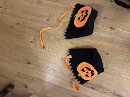 Photo of free Halloween bags (Hassocks BN6) #1